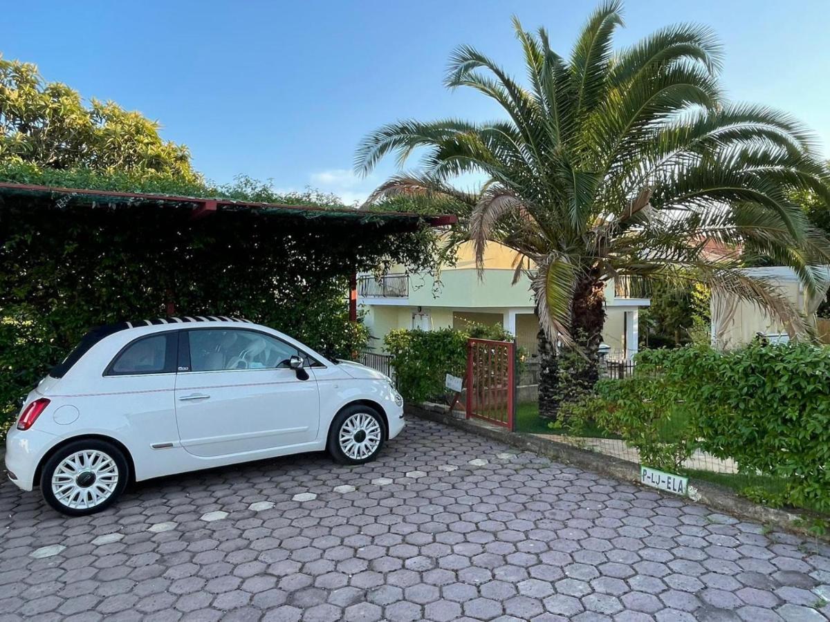 Apartman Hola Novigrad  Екстер'єр фото