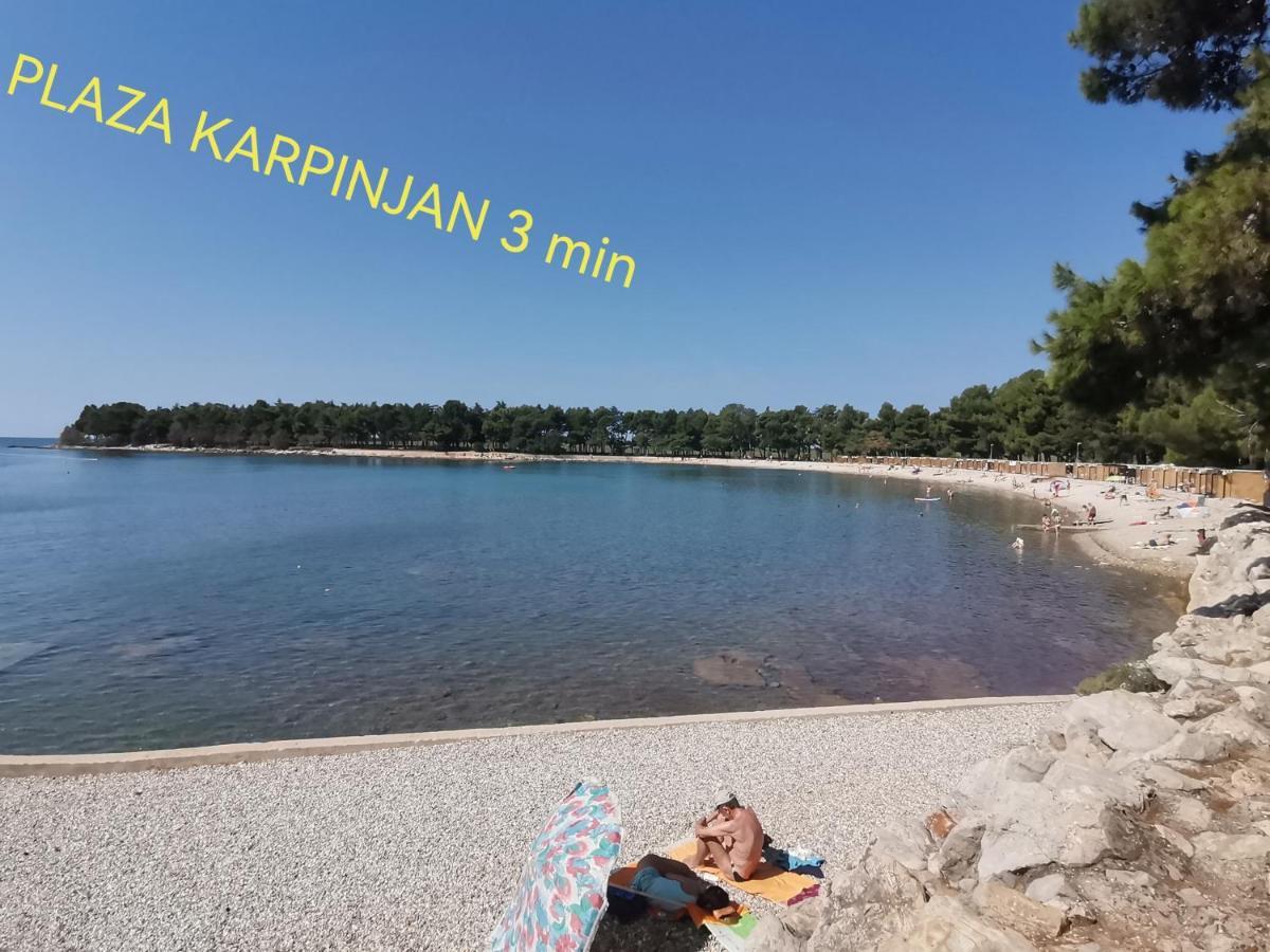 Apartman Hola Novigrad  Екстер'єр фото